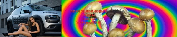 mdpv Алзамай