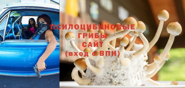 2c-b Алексин