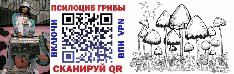 Галлюциногенные грибы прущие грибы  дарнет шоп  Богучар 