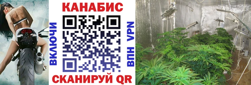MEGA онион  Богучар  Конопля MAZAR  купить  сайты 